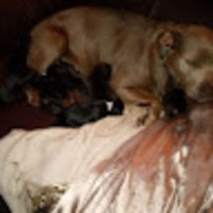 Meet your Posher, Cheryl